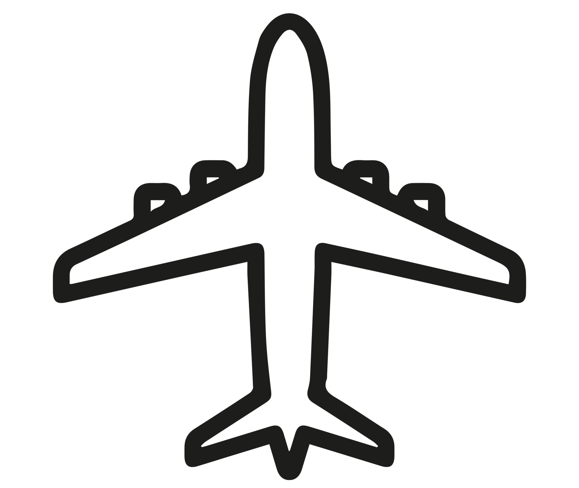 Flights